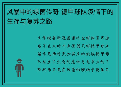 风暴中的绿茵传奇 德甲球队疫情下的生存与复苏之路