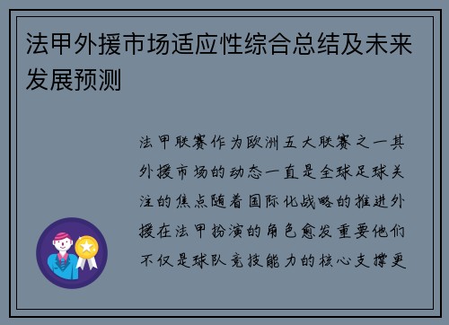 法甲外援市场适应性综合总结及未来发展预测