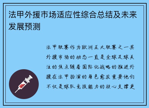 法甲外援市场适应性综合总结及未来发展预测